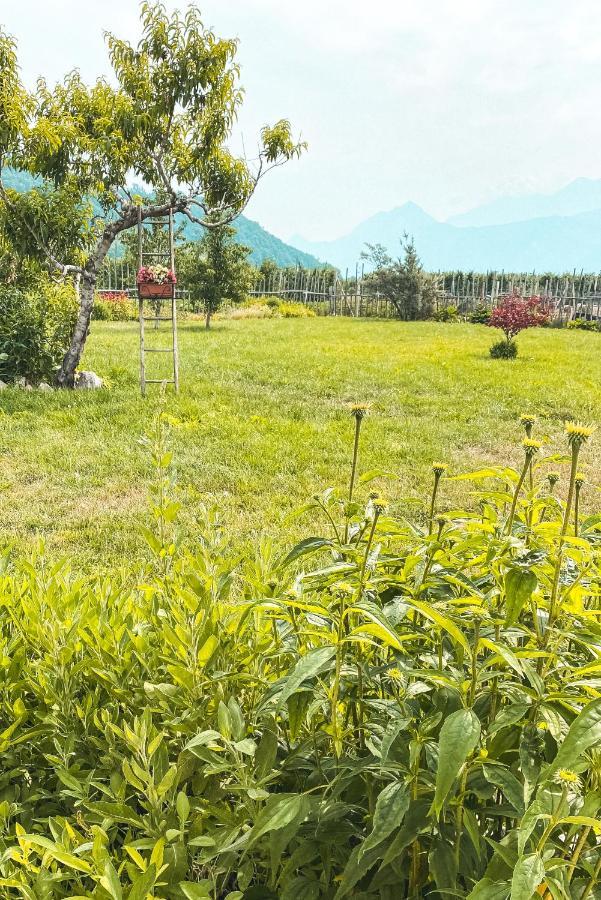 Agriturismo Dal Perotin Caldonazzo Eksteriør billede